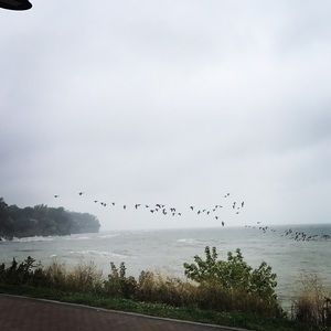 Meet your Posher, Leyla